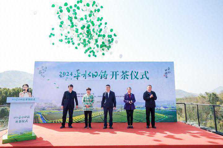 “平水日铸茶”开采：新茶价格维持上年水平，最贵每公斤10000元