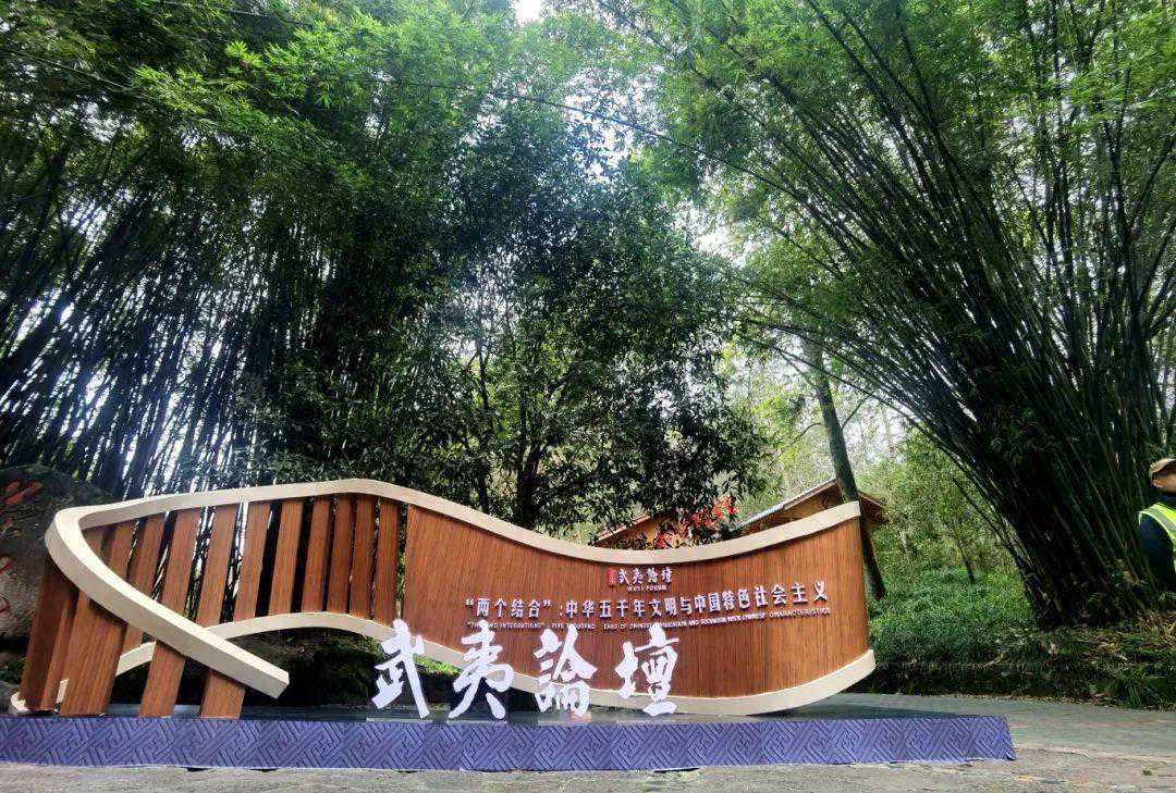 向世界敬一杯“武夷茶”，汉学家赞称茶是中华文明的圣物