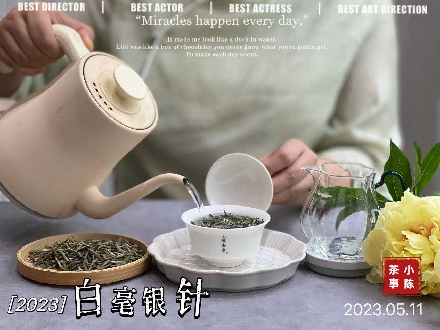 洗茶、闷泡、过滤，这4种错误泡法，会毁了你的白毫银针