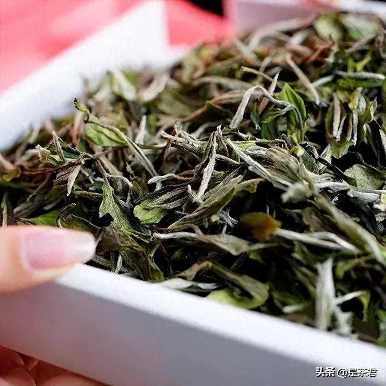 拷问白茶：get 这几招，能解决90%与白茶有关的问题