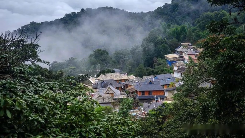 个人茶江湖——怎样玩懂茶的汤感