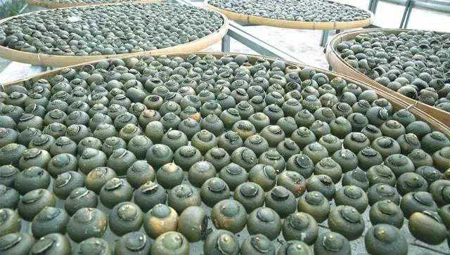 七天读懂一款茶｜烘干、生晒、蒸晒小青柑到底有什么不一样？