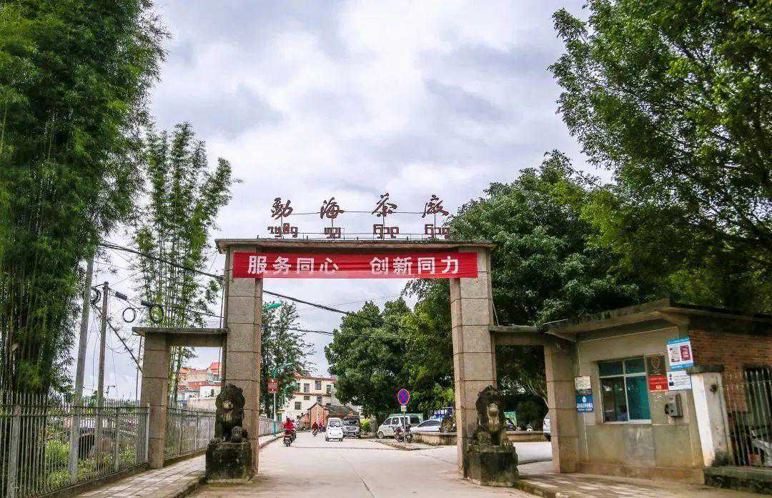 澎湃好物 | 百来元喝到红印圆茶，茶香悠悠一下午~