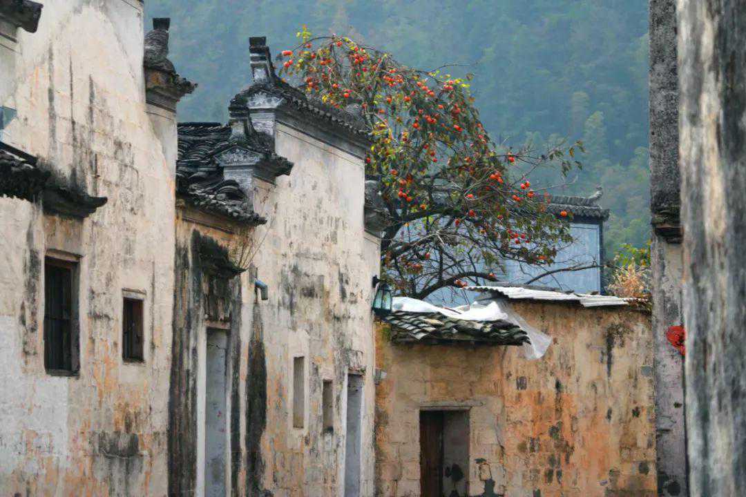 将军的脾性，贾母吃不消