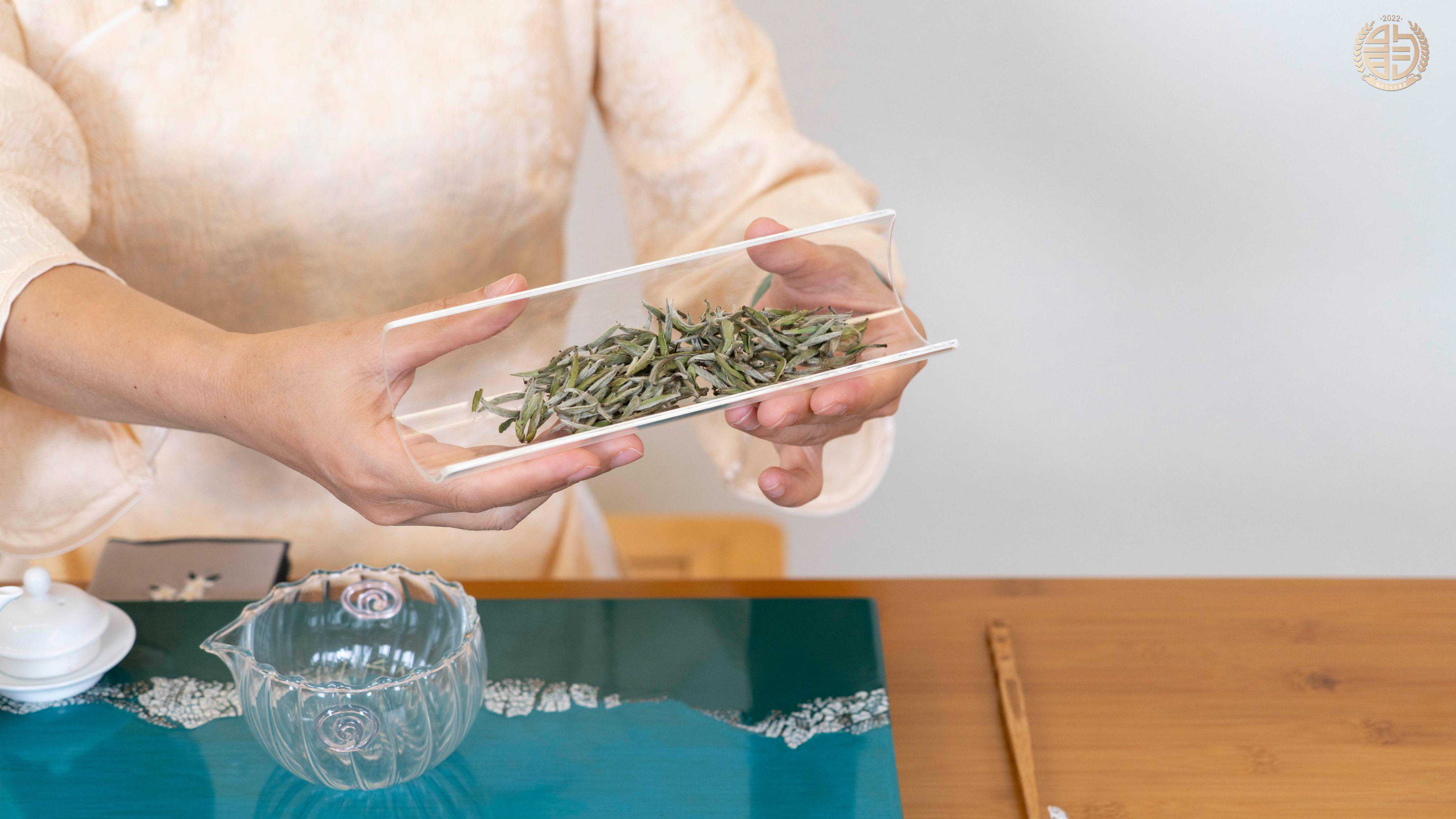 不是名字里有白茶的都是白茶，别上当了！