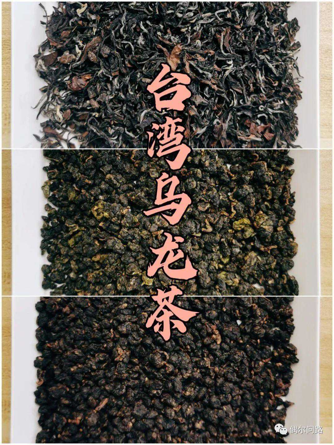 宝岛学茶笔记第一课 —— 冻顶乌龙
