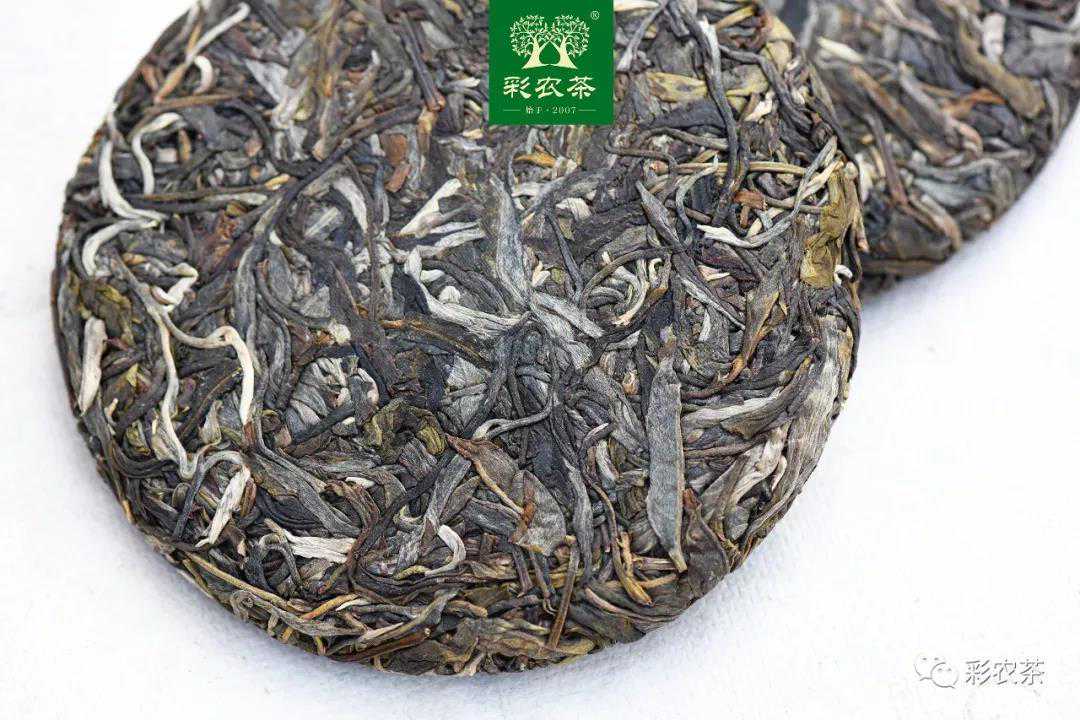 彩农茶｜勐海小饼，来自国家级自然保护区的纯净清香