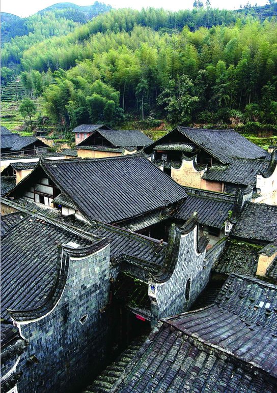 茶非遗档案 | 坦洋工夫：鲜纯清甘有“工夫”