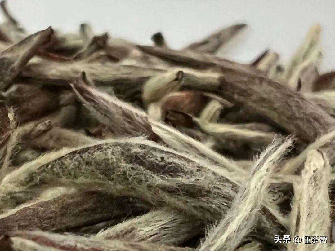 20万的白毫银针喝不出区别？不是装就是当了冤大头
