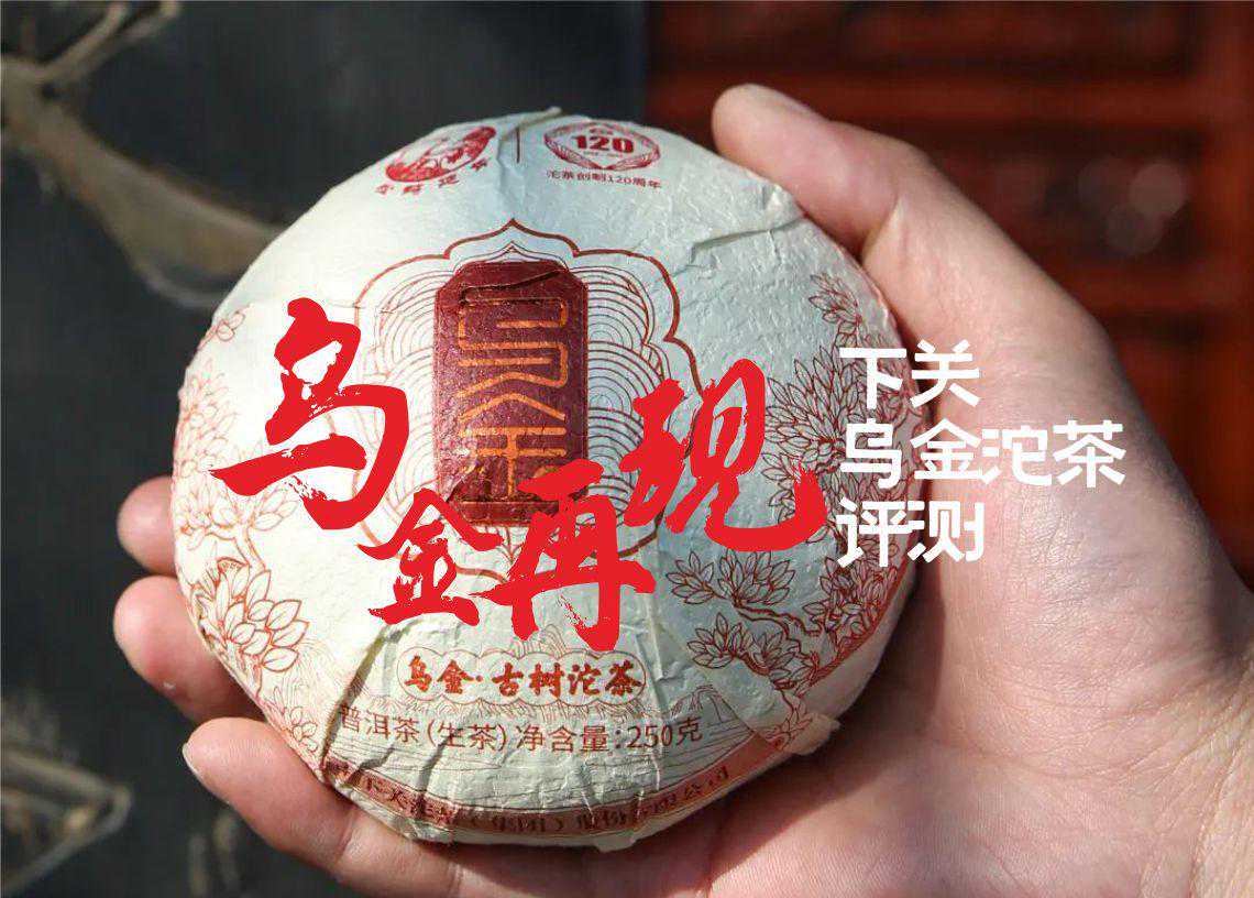 乌金再出江湖？下关2023乌金沱茶评测来了