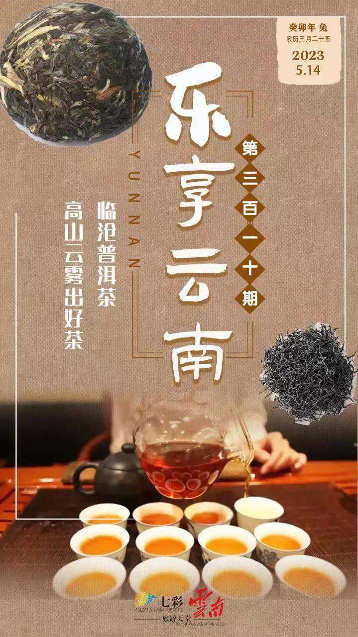 乐享云南｜好礼·临沧普洱茶
