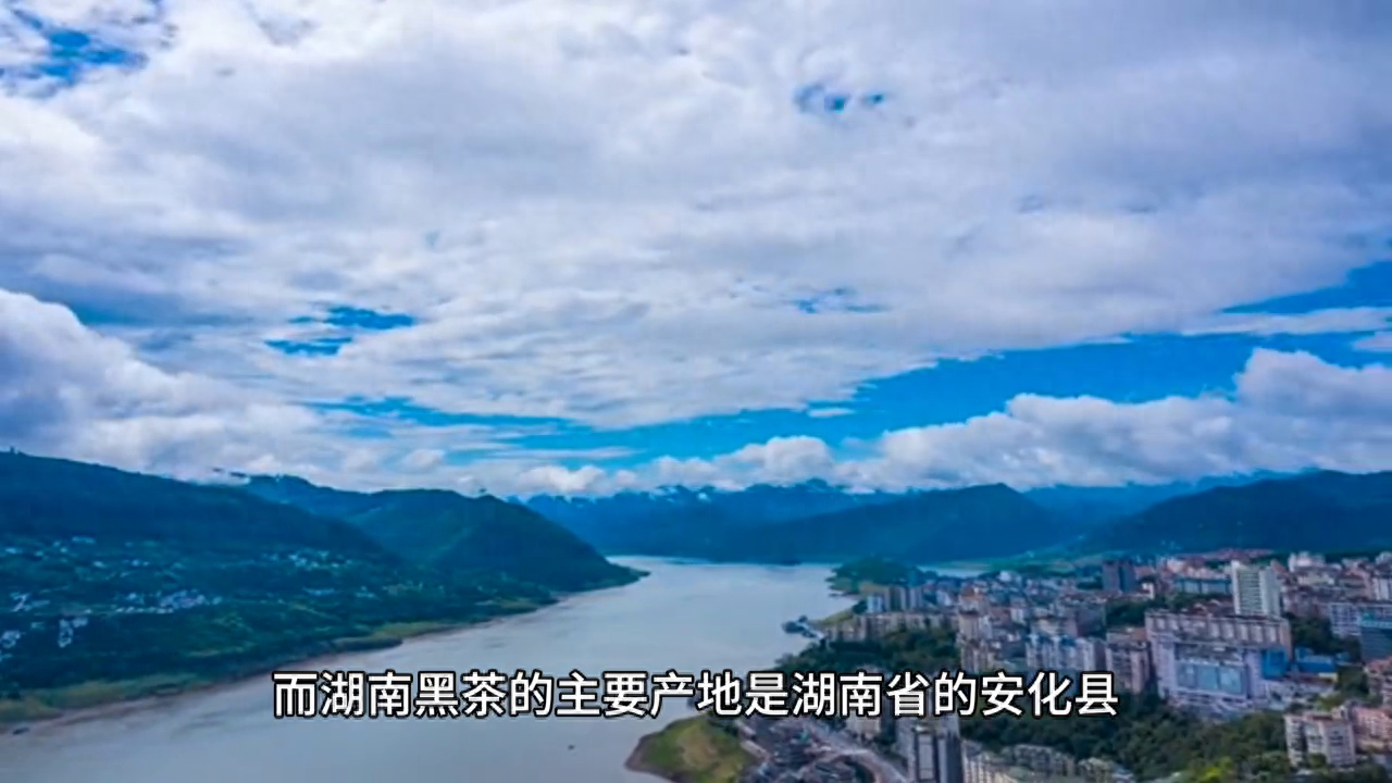 云南黑茶和湖南黑茶有什么区别？