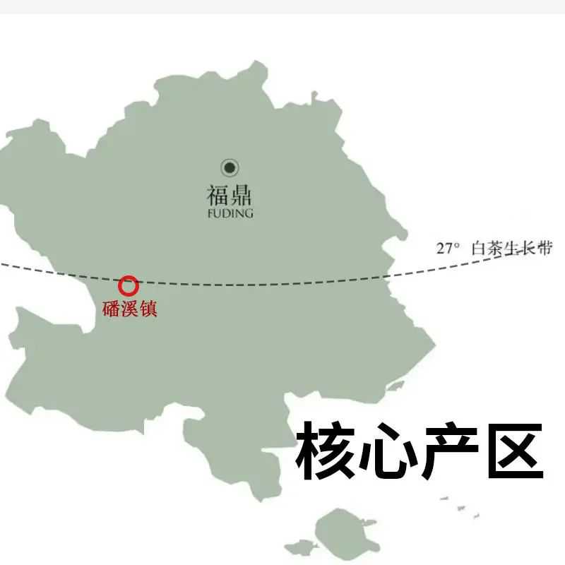 天目湖白茶：小产区在白茶市场如何突出重围？