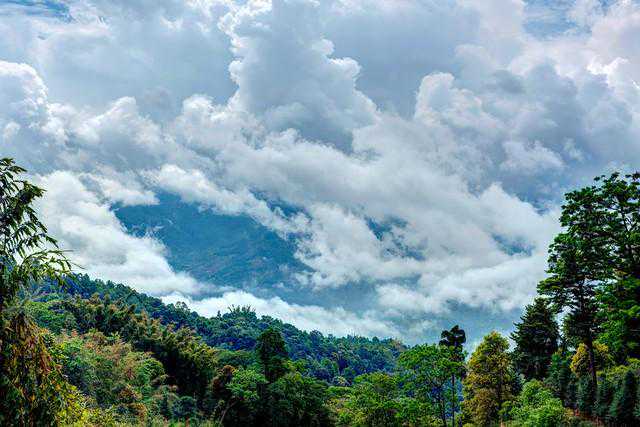 走近茶山——西双版纳南糯山地块