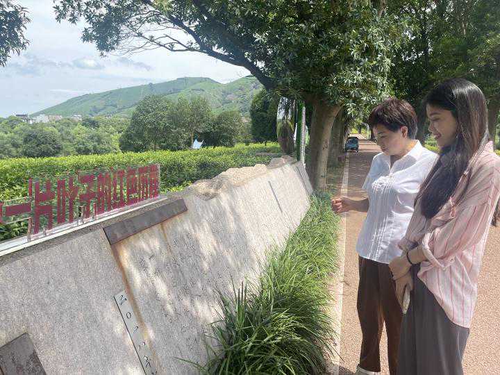 溯源看变化·“八八战略”亲历者说  一片叶子变金山