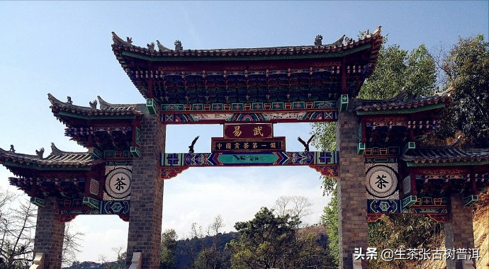 老茶客为什么都爱喝易武普洱茶？看完这篇你就全明白了