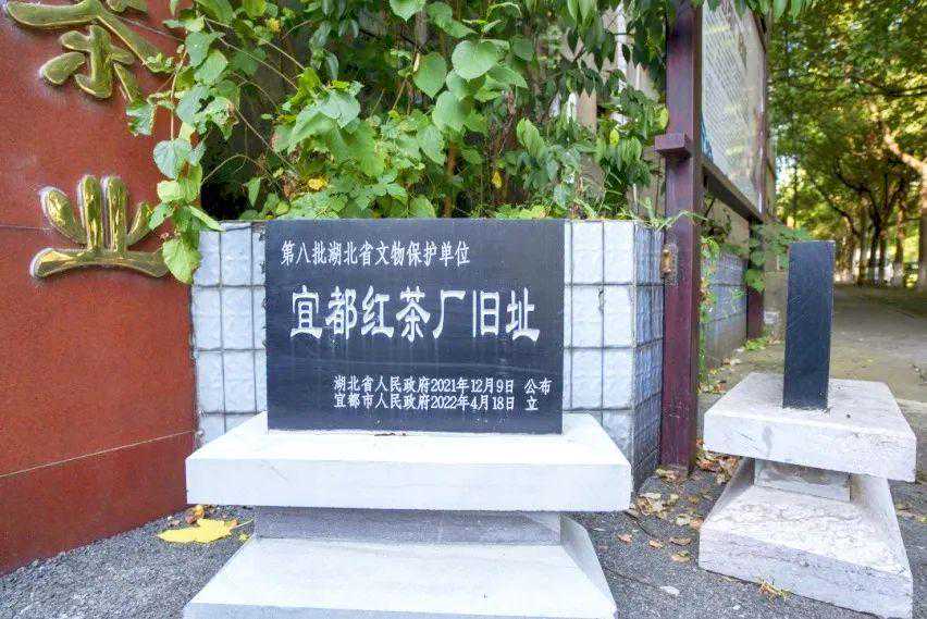 跨越7个十年，举起这杯湖北茶，敬中国！