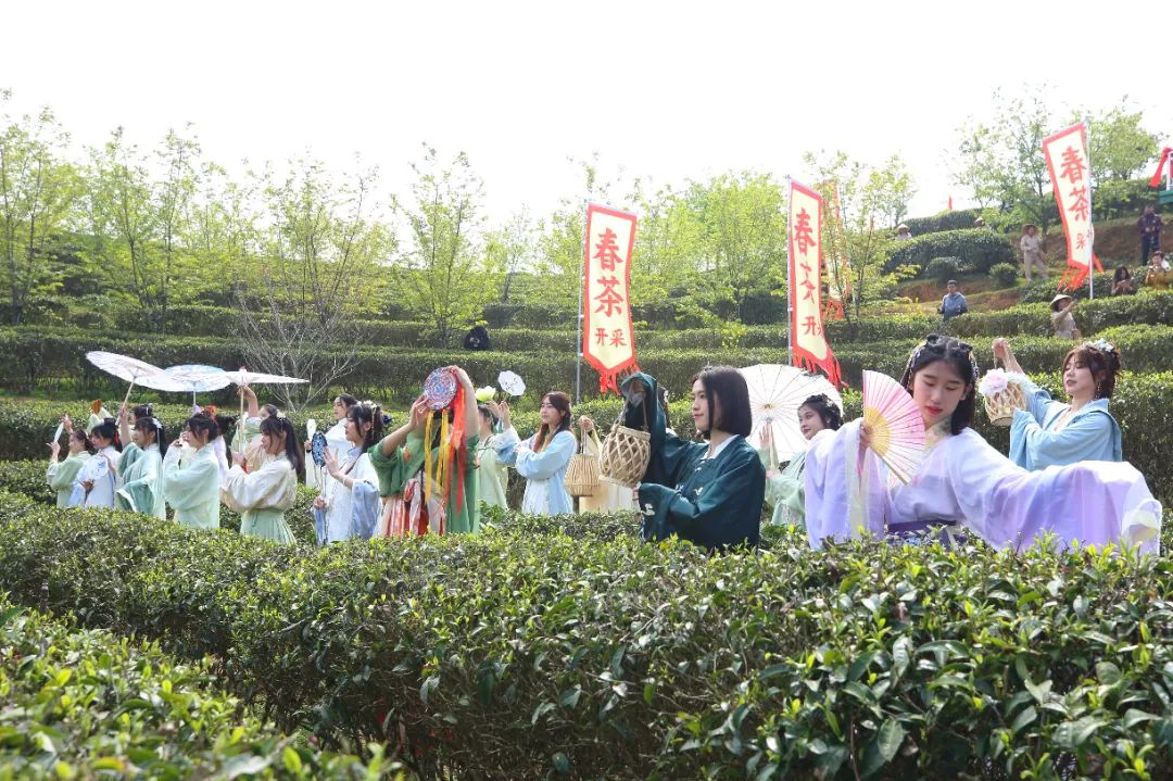 “开茶喽！”昨天这里超热闹……