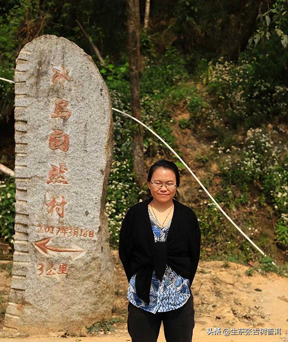 冰岛五寨是哪五寨？它们普洱茶的特点是什么样？