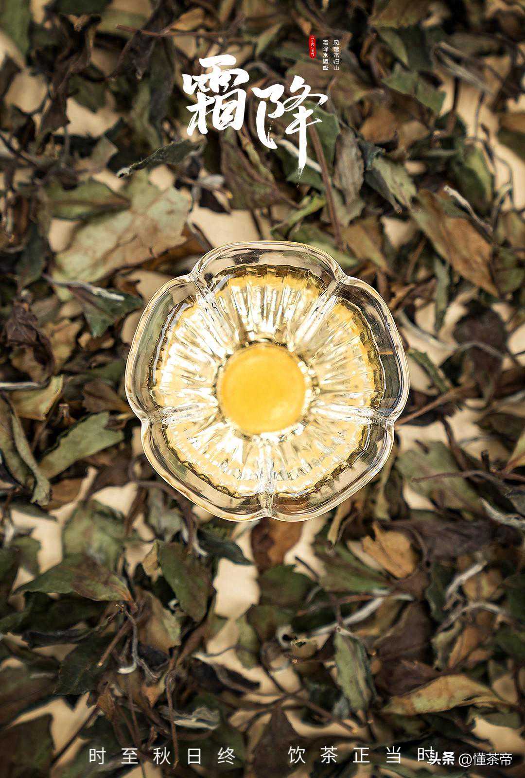 六堡霜降老茶婆，90%的茶友都误解了！