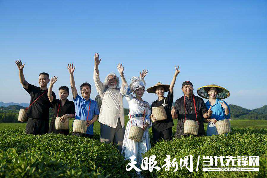 【春茶万千·遵义领鲜】兰馨茶业：新茶上市节点，做好“加减法”