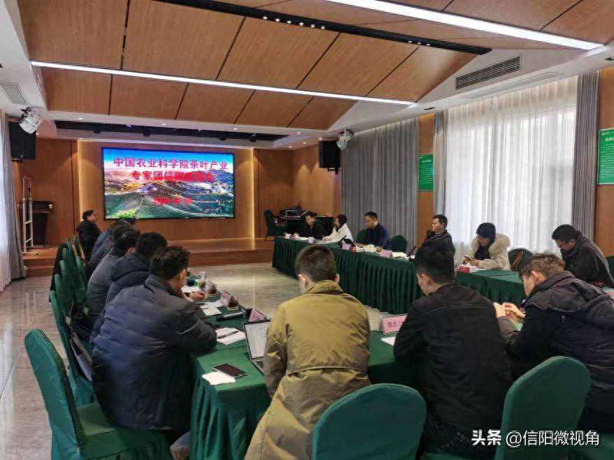 系统谋划、创新方式 茶叶研究所助力信阳茶产业高质量发展