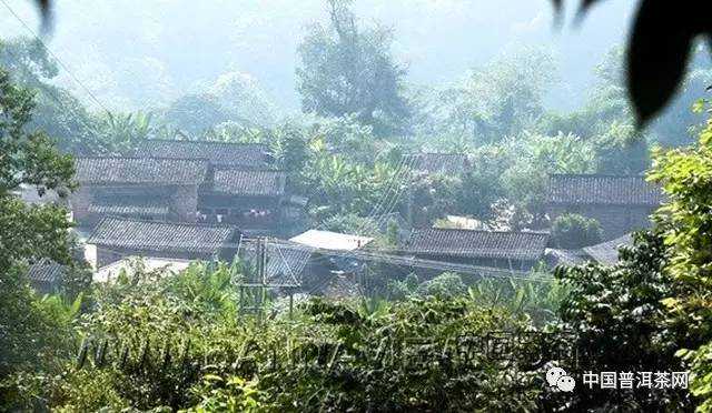 茶山揭秘系列之蛮砖、倚邦