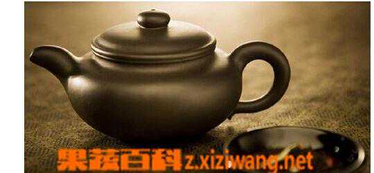 人参乌龙茶的泡法技巧