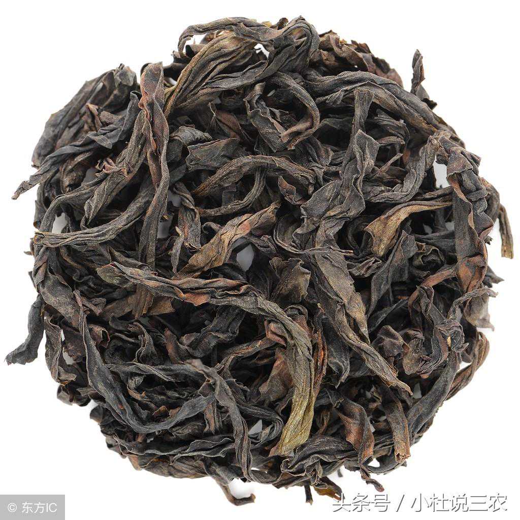 九龙茶，也许你不知道，说说关于它的4个小知识