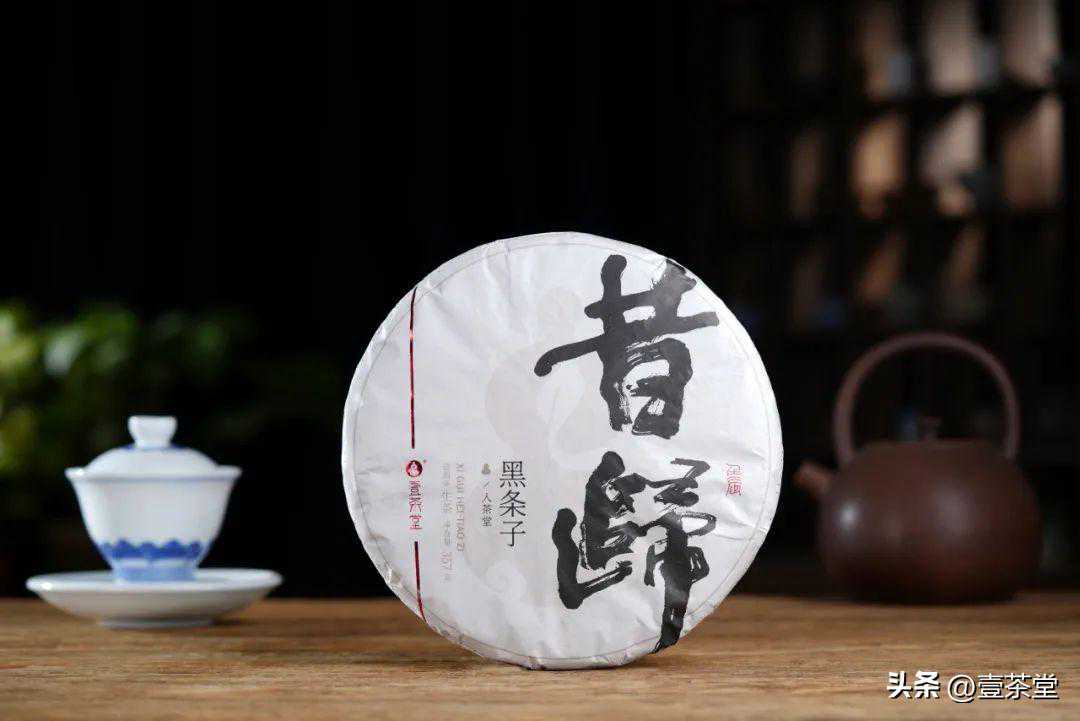 《知茶语》——七子饼茶的起源，你知道多少？