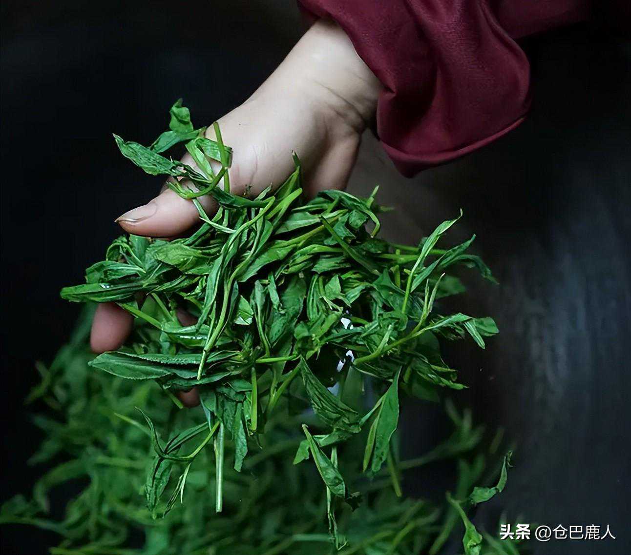 《徽茶》|茶，与一方水土的故事