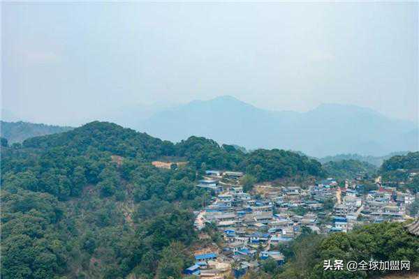 斗记茶之旅：从茶杯回到茶园，深度解锁斗记普洱世界