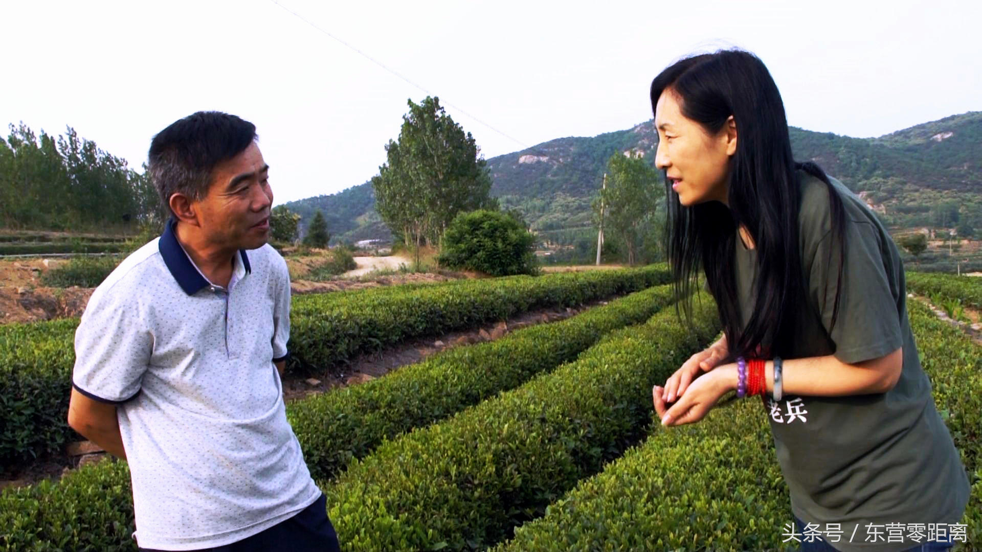 原创纪实散文——日照绿