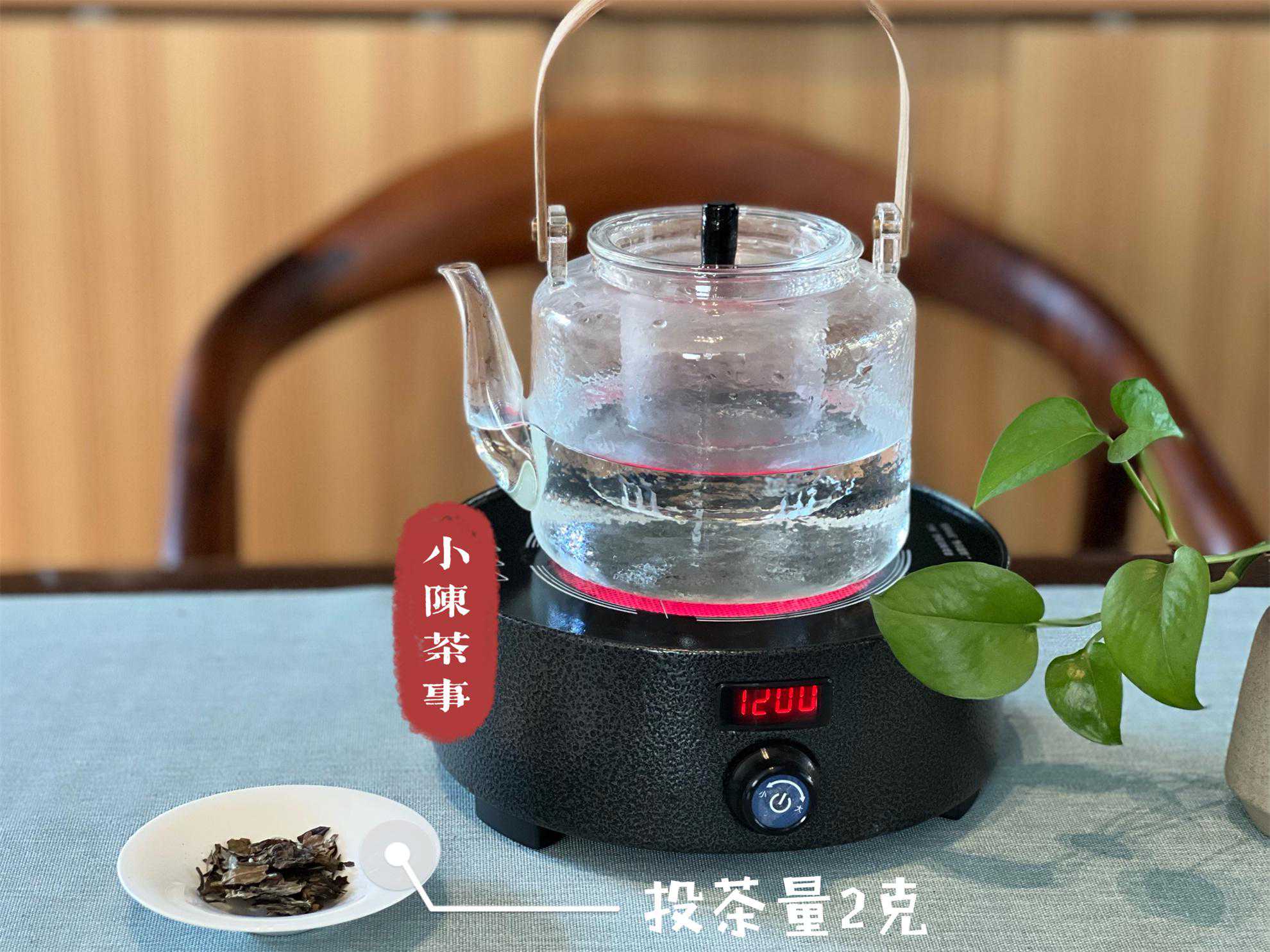 泡一次白茶要放多少茶叶？泡茶、煮茶、蒸茶，投茶量有什么不同？