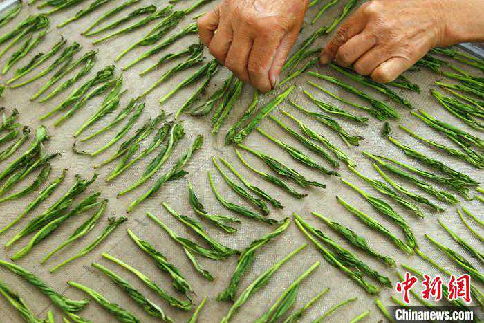 「寻味中华」太平猴魁：形若戈戟云横，味若深谷幽兰