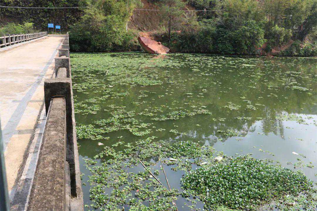 这是一场检察官与绿水青山的邂逅