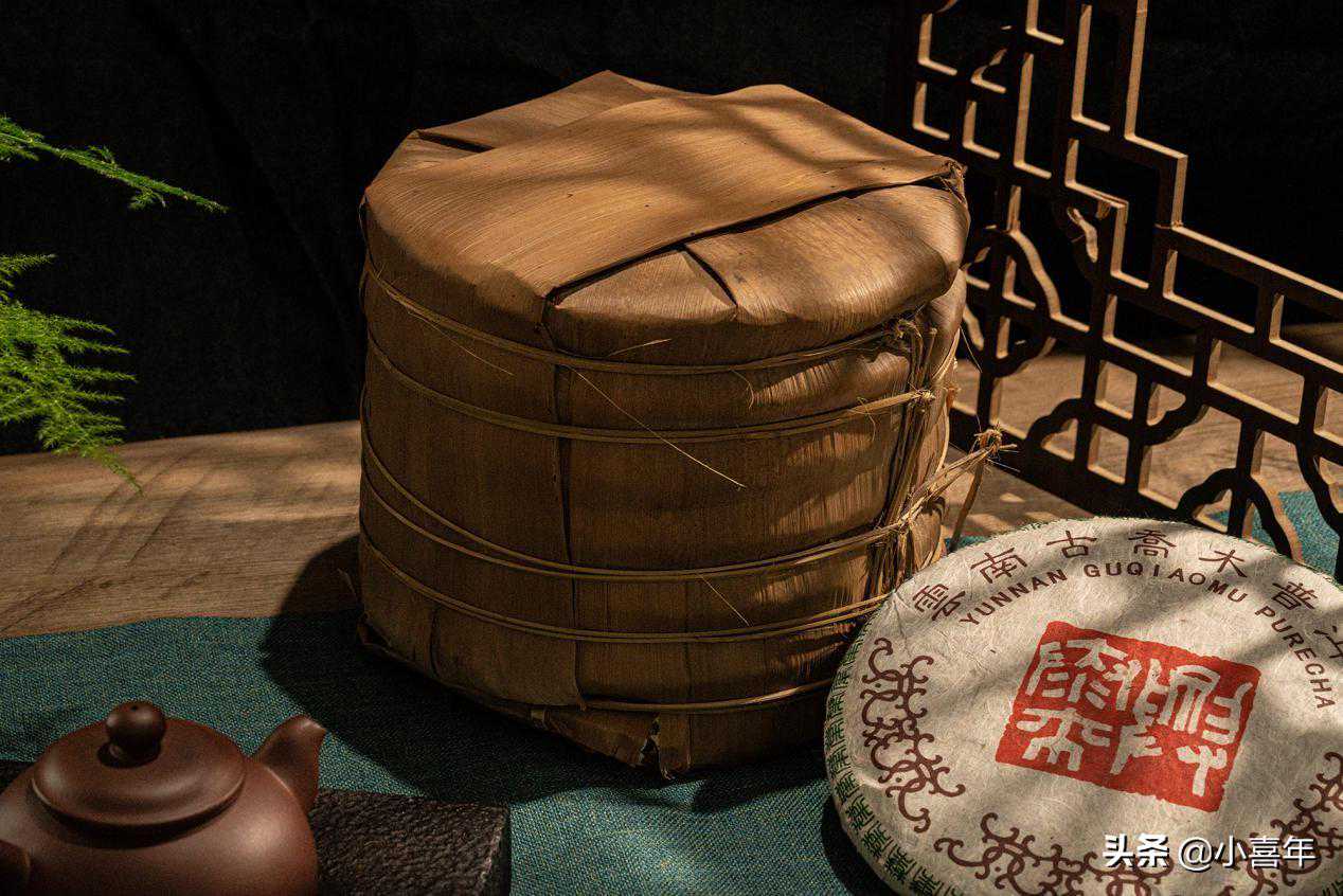 普洱茶储存中，我们常说的"干仓"和"湿仓"具体是什么？