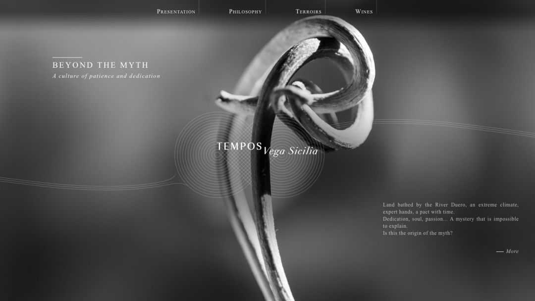 浙茶品牌如何成为“优等生”，省内十大茶品牌成立“联盟”