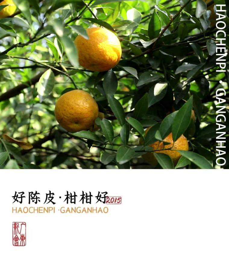 柑柑好2023新皮季 | 论产区，遥遥领先！