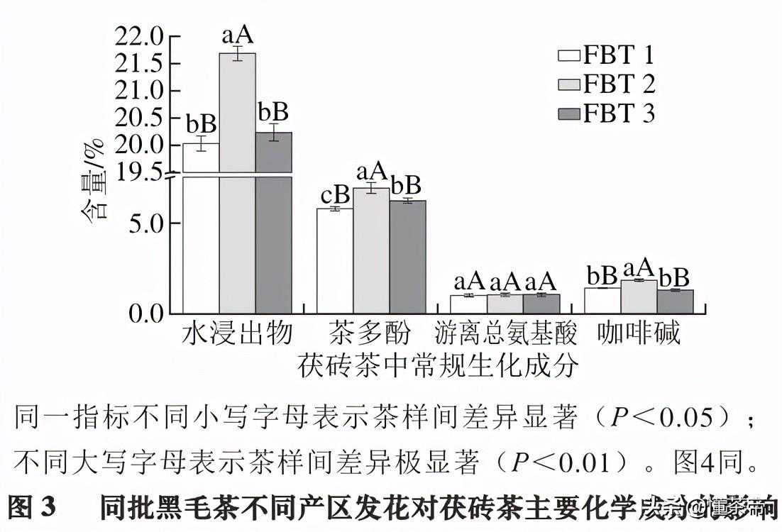 不同产区的茯砖茶，竟有这么大区别