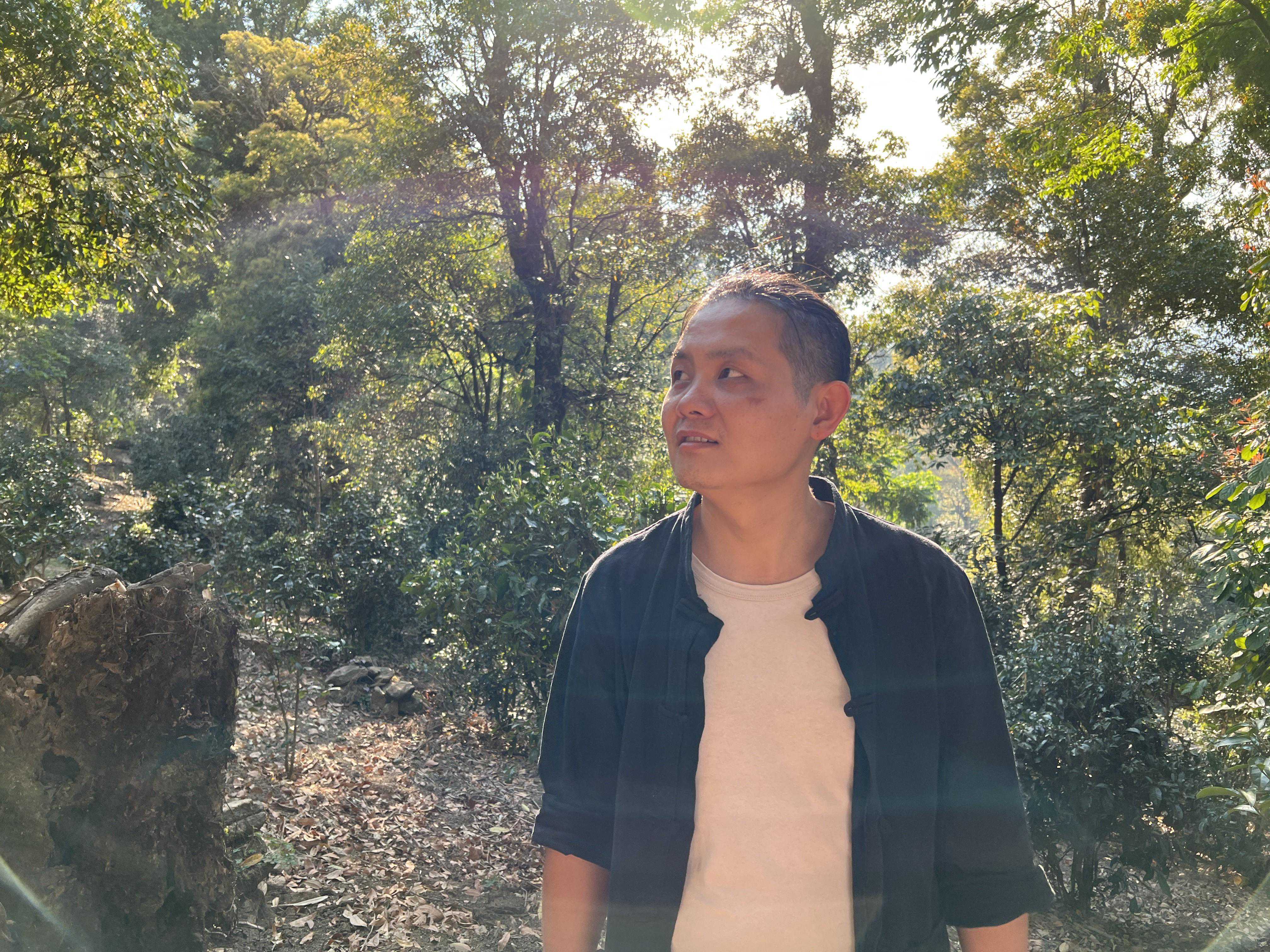 在2500米海拔上收茶是种什么体验？滑竹梁子古树茶，拿下100公斤