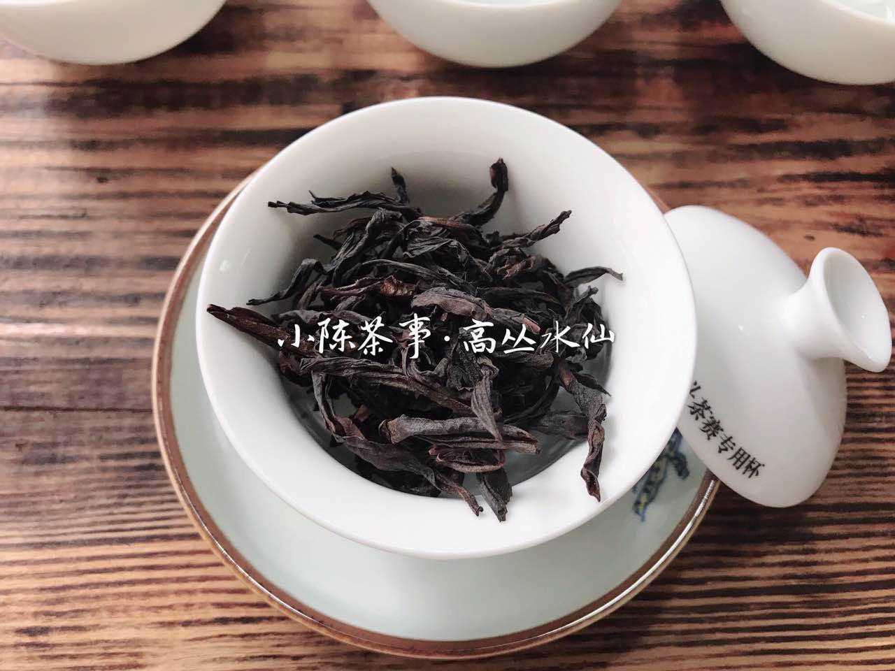 岩茶的老枞指的是一棵树，还是一群树？