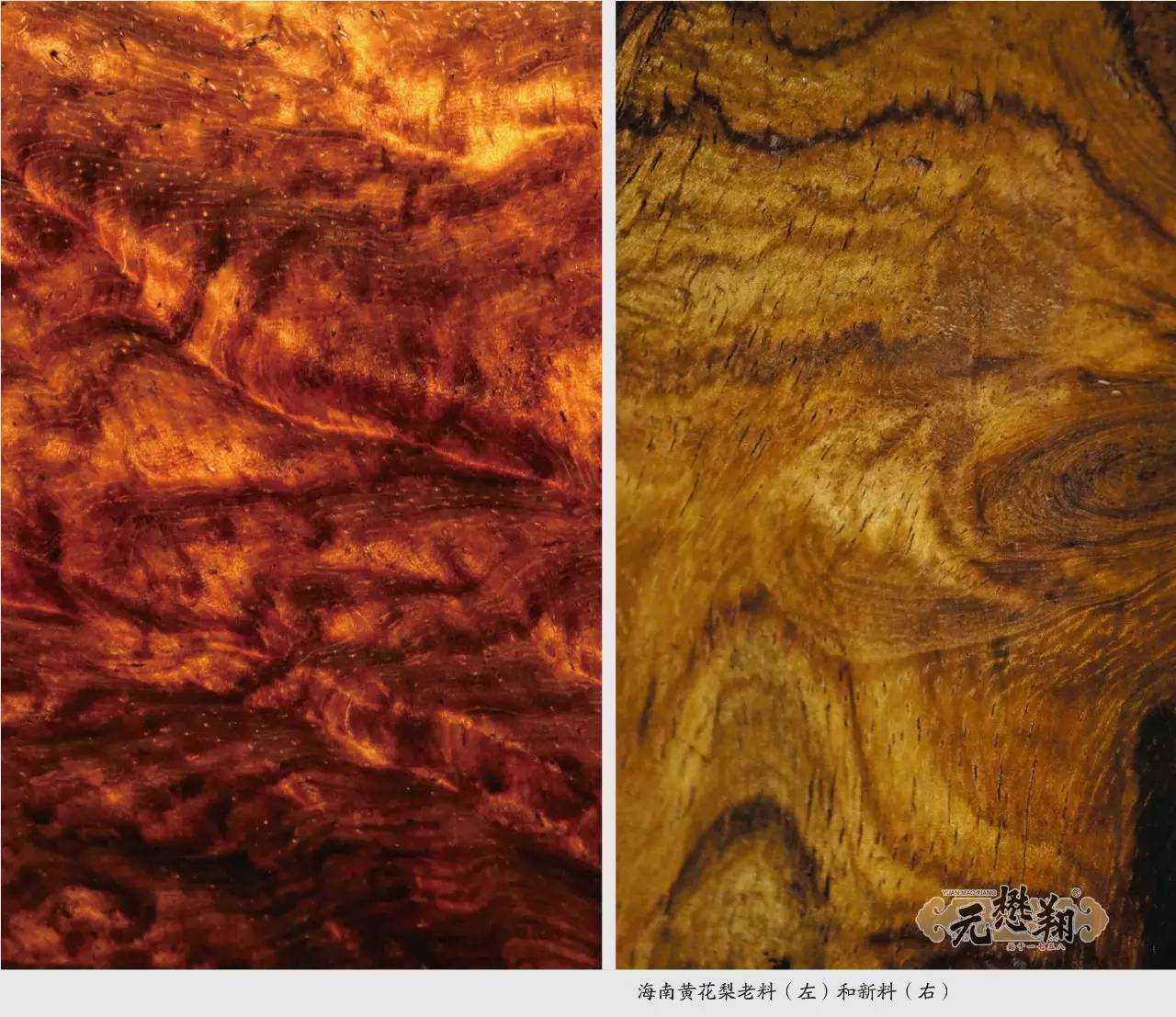 每日一讲，什么是海南黄花梨的“老料”与“新料”？他们有什么区别？取自曹荻明著作《品真—三大贡木》