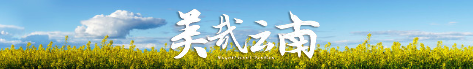 美哉云南 | 因艺而珍，因文而雅——美物：建水紫陶