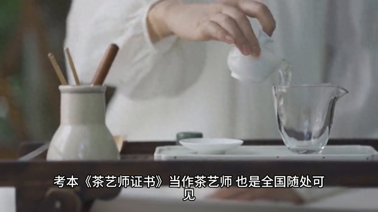 茶艺培训去哪学全国不二的天晟茶艺培训学校中国茶学系统培训班