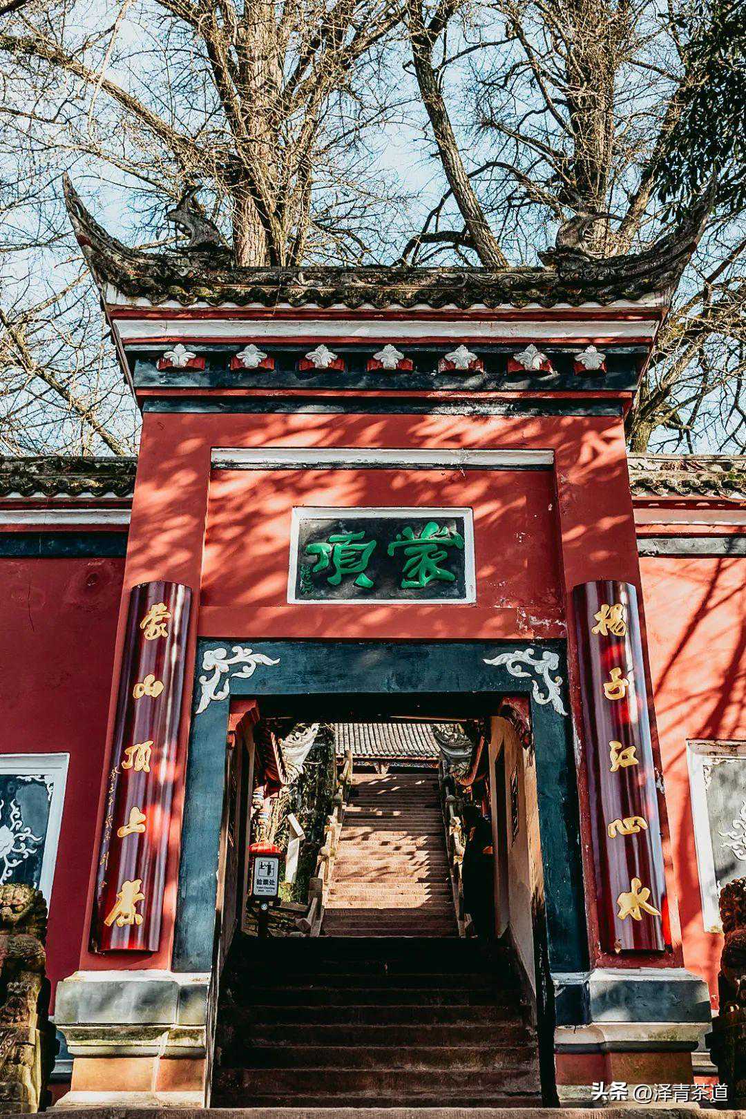 2023年茶品牌价值TOP20！