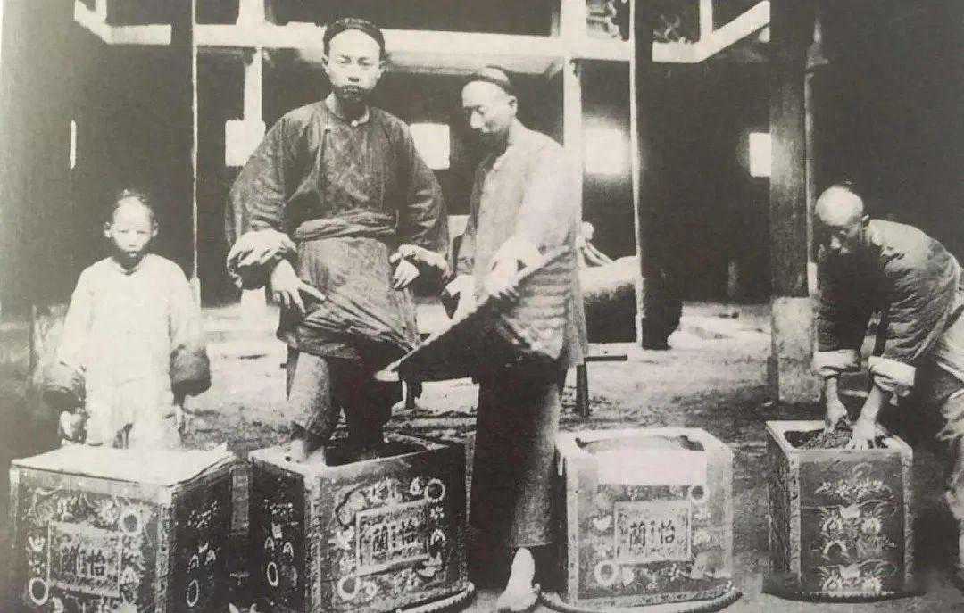 清代政和茶叶的兴隆——茶叶发展史（五）