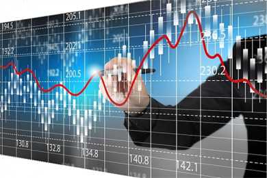 盲目追捧野生茶不可取