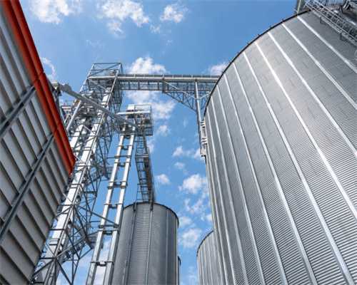 晨光里的茶语时光：喧嚣都市中的一抹温柔绿洲