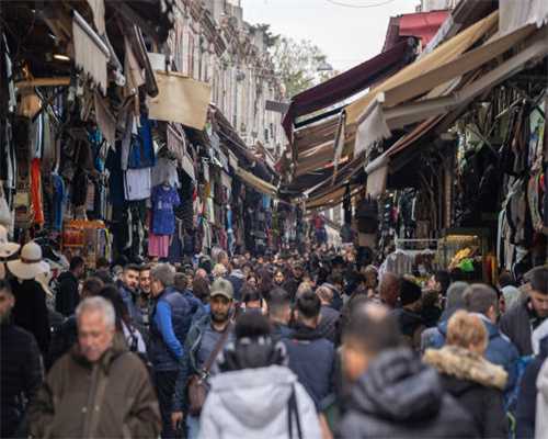 2024年茶叶筛分机行业现状与前景分析-聚亿信息咨询